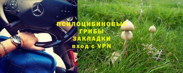 таблы Богородск