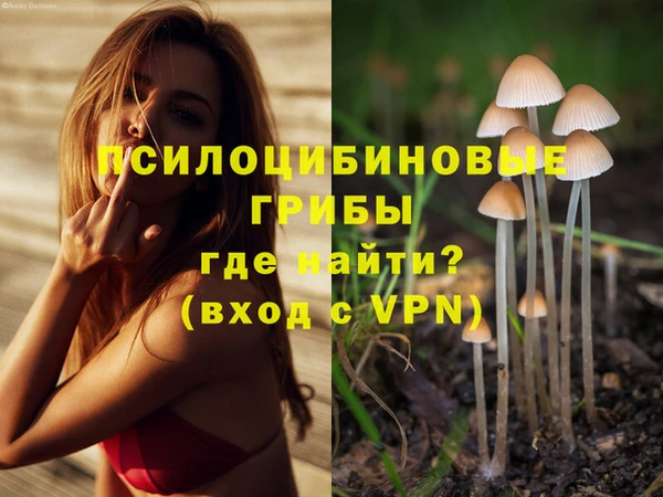 круглые Богданович