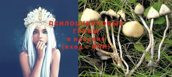 таблы Богородск