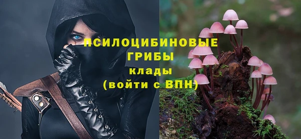 таблы Богородск